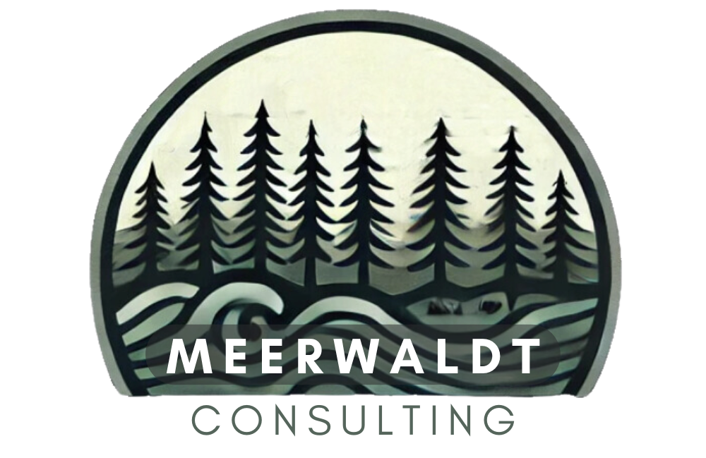 Your Consultancy Firm Logo